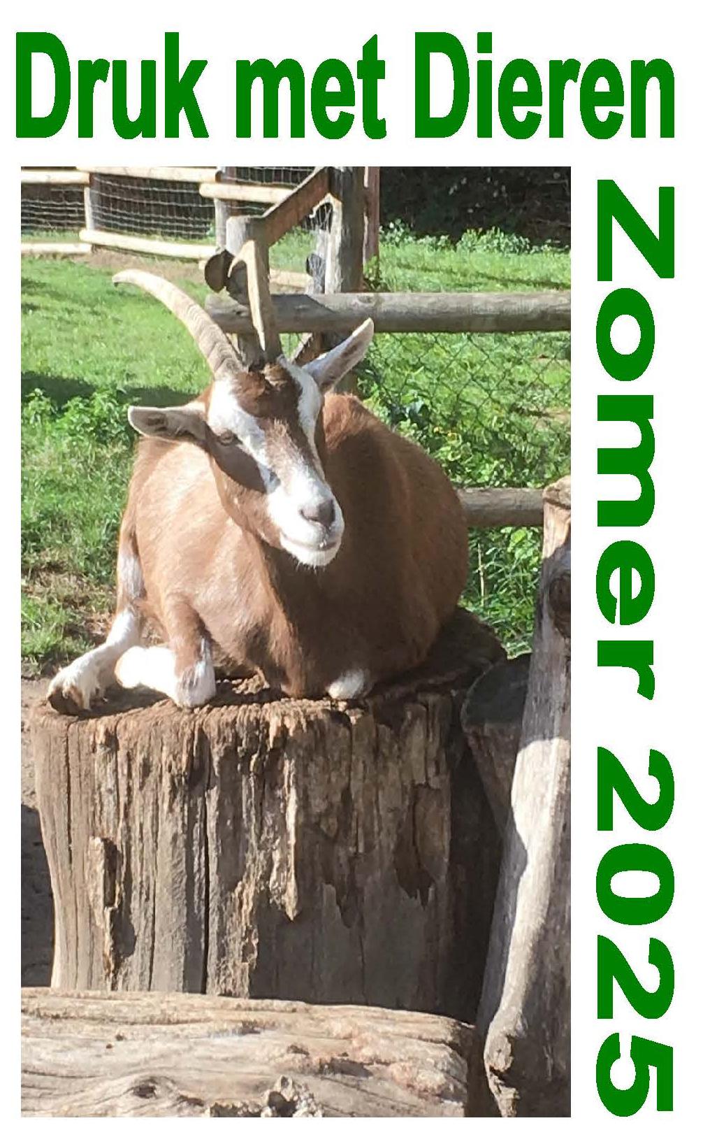 Druk met Dieren zomer 2025