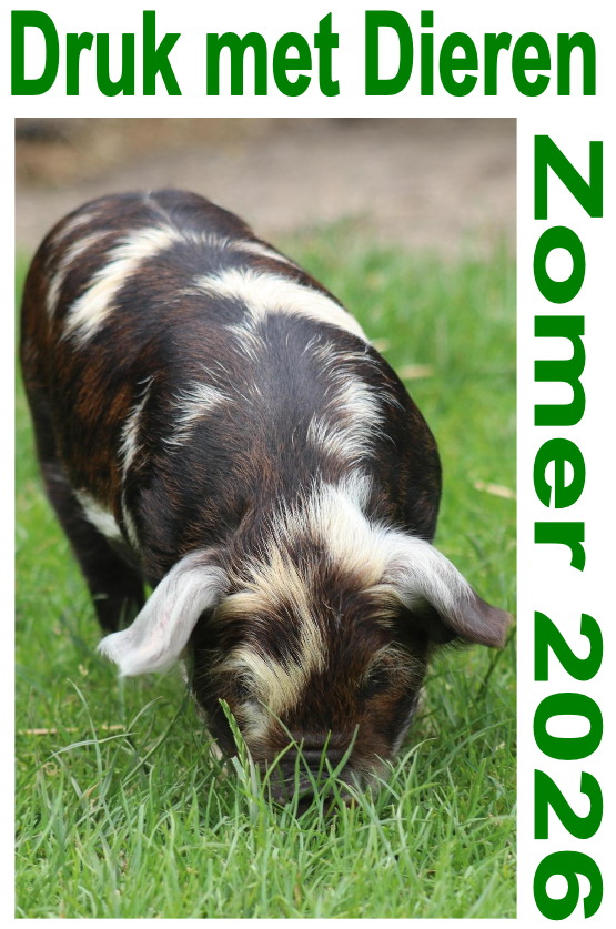 Druk met Dieren Zomer 22026