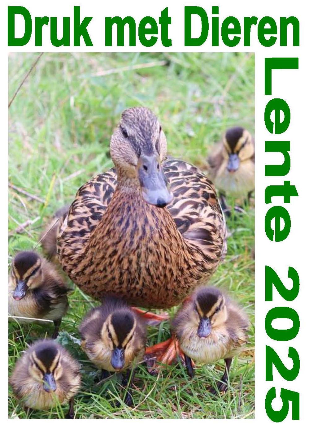 Druk met Dieren lente 2025