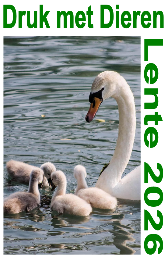 Druk met Dieren lente 2026